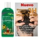 thumbnail image 2 of Shampoo Árbol de Té con Miel 500 ml 3H. Anticaspa, Anticéptico, Detox, 2 of 4