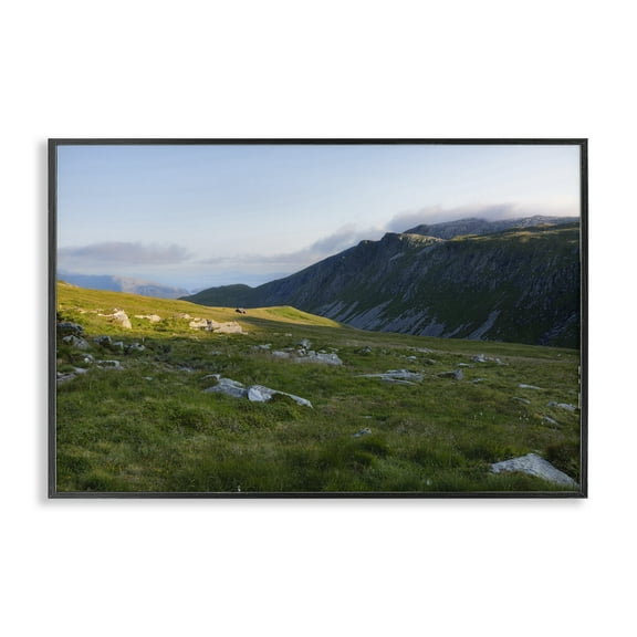 Stupell Industries Lush Rolling Cliffs Landscape & Nature Photography Black Framed Art Print Wall Art, 18 x 12