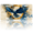 Flying Bald Eagle, variant on 1 Pcs 2D Flat License Plate Covers & Frames, Flying Bald Eagle For Decorative Front, Waterproof For Decoration Aluminum License Plate Covers & Frames Cover For Men Women, 12" X 6"