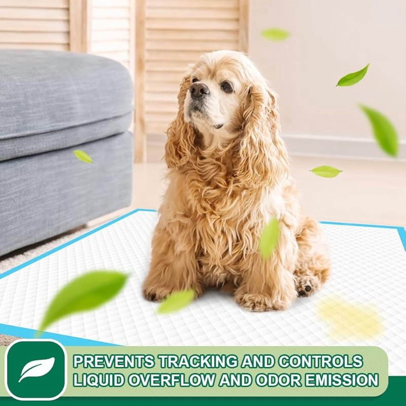 Puppy Pee Pads 22"x23"-100 Count | Dog Pee Training Pads Super Absorbent & Leak-Proof | Disposable Pet Piddle and Potty Pads for Puppies | Dogs | Doggie| Cats | Rabbits