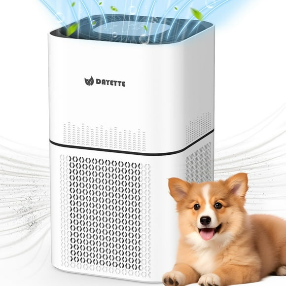 Purificador de aire DAYETTE HEPA 14 para habitaciones grandes de 2200 pies cuadrados con sensor