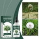 thumbnail image 1 of Limpiadores domésticos Venuss Flys Trap Food Drops Alimento líquido para plantas carnívoras Solución nutritiva 100 ml Alimento para plantas tropicales Fertilizante líquido para plantas carnívoras Solu, 1 of 9