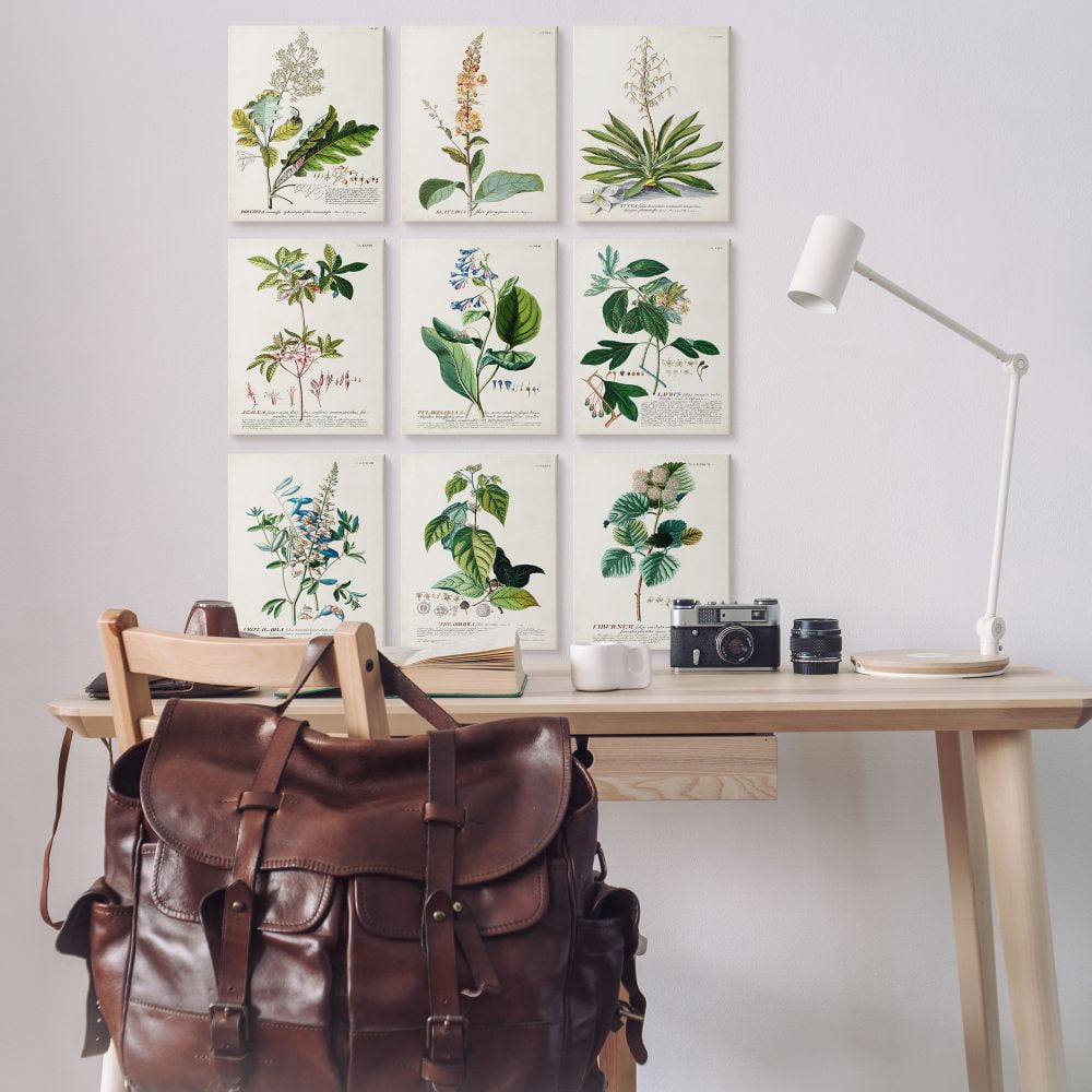 Stupell Industries Vintage Botanical Greenery Illustrations with Scientific Script Canvas Wall Art Design by Unknown Artist, 9 Piece, 11" x 14"