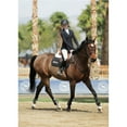 thumbnail image 3 of KERRITS Kids' Affinity Aero Show Coat Equestrian Jacket, Color: Black, Size: M, 3 of 6