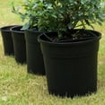 thumbnail image 4 of Wosthever Macetas de plástico de 5 piezas respetuosas con el medio ambiente para macetas de plantas de jardinería interior contenedor de Jardín y Patio 16 agujeros, 4 of 6