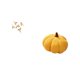 thumbnail image 5 of Escultura de pájaro volador de madera para pared, cojín de calabaza, material suave, ideal para sala de estar, dormitorio, entrada y comedor., 5 of 8