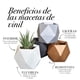 thumbnail image 4 of Set De Macetas Minimalistas Macetas y Maceteros Blanca Interior Suculenta Cactus Estilo moderno elegante y minimalista, 4 of 4