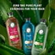 thumbnail image 4 of Herbal Essences Bio:Renew Argan Oil Of Morocco Repairing Color-Safe Shampoo And Conditioner Bundle, 4 of 13