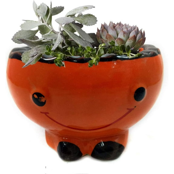 India Meets India Handicraft Ceramic Flower Pots Ceramic Planter Plant Pots Indoor Outdoor Planter, Best Gifting, Made by Awarded Indian Artisans