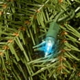 thumbnail image 3 of National Tree Company Pre-Lit Artificial Christmas Wreath, Green, Norwood Fir, 50 Multicolor Battery Operated LED Lights, Timer, 24 Inch, 3 of 4