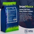 thumbnail image 2 of Supply Solutions IronMaxx Granular Fertilizer - All Purpose Plant Food with Iron and Sulfur, Slow Release Garden Fertilizer for Lawn, Vegetables, Flowers & Trees, Outdoor Plant Fertilizer (10 Pounds), 2 of 7