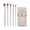 A, variant on 5 Pieces Mini Makeup Brush Set, Makeup Brushes Foundation Blend Blush Concealer Eye Shadow Blend Eye Liner Makeup Brush Set for Travel Makeup Bag