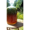 thumbnail image 3 of Klickitat Canyon Winery - Organic Basil Vinegar - Raw, Unfiltered Apple Cider Vinegar - Vegan, Sugar-Free - 10 fl oz, 3 of 8