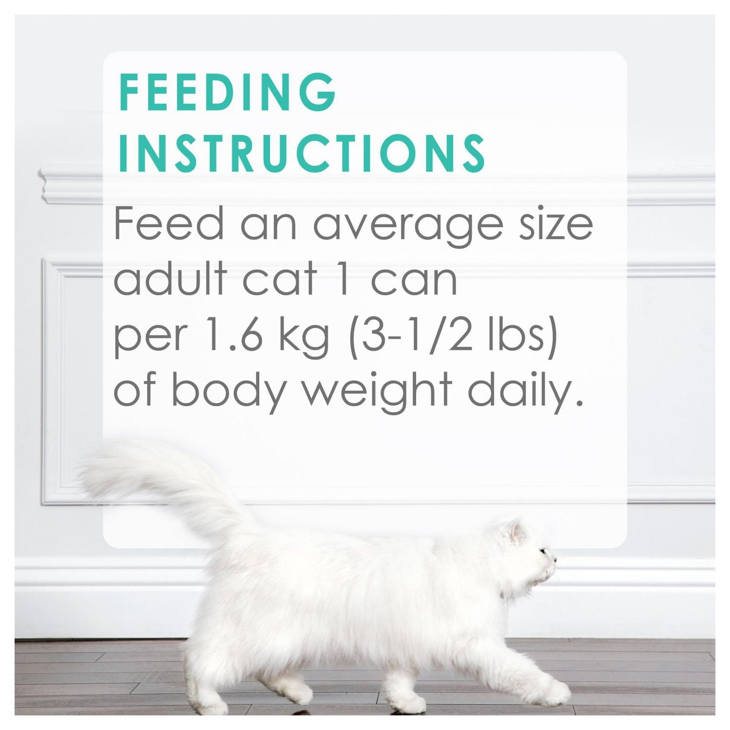 Fancy Feast Assortiment Gourmet Nourriture pour Chats 85 g x 12