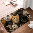 thumbnail image 5 of 1pc Kittens Absorbent Non-Slip Bathroom Thickened Flannel Rug Decor,Soft,Quick Drying,Suitable For Indoor/outdoor Use,Bathrooms,Bedrooms,Kitchens,Terrace,Laundry Rooms,16"x24", 5 of 9