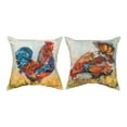 thumbnail image 3 of Rooster Climaweave Pillow 18" Indoor/Outdoor, 3 of 3