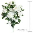 thumbnail image 2 of 12 Pack: White Rose Bush by Ashland, 2 of 3