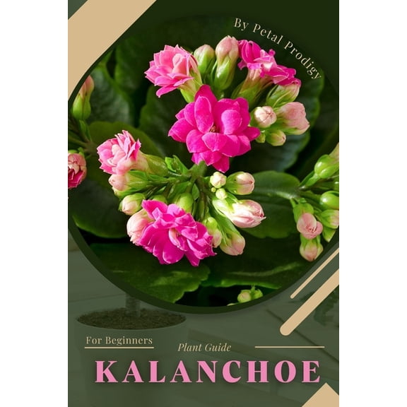 Kalanchoe: Prodigy Petal, Plant Guide (Paperback)