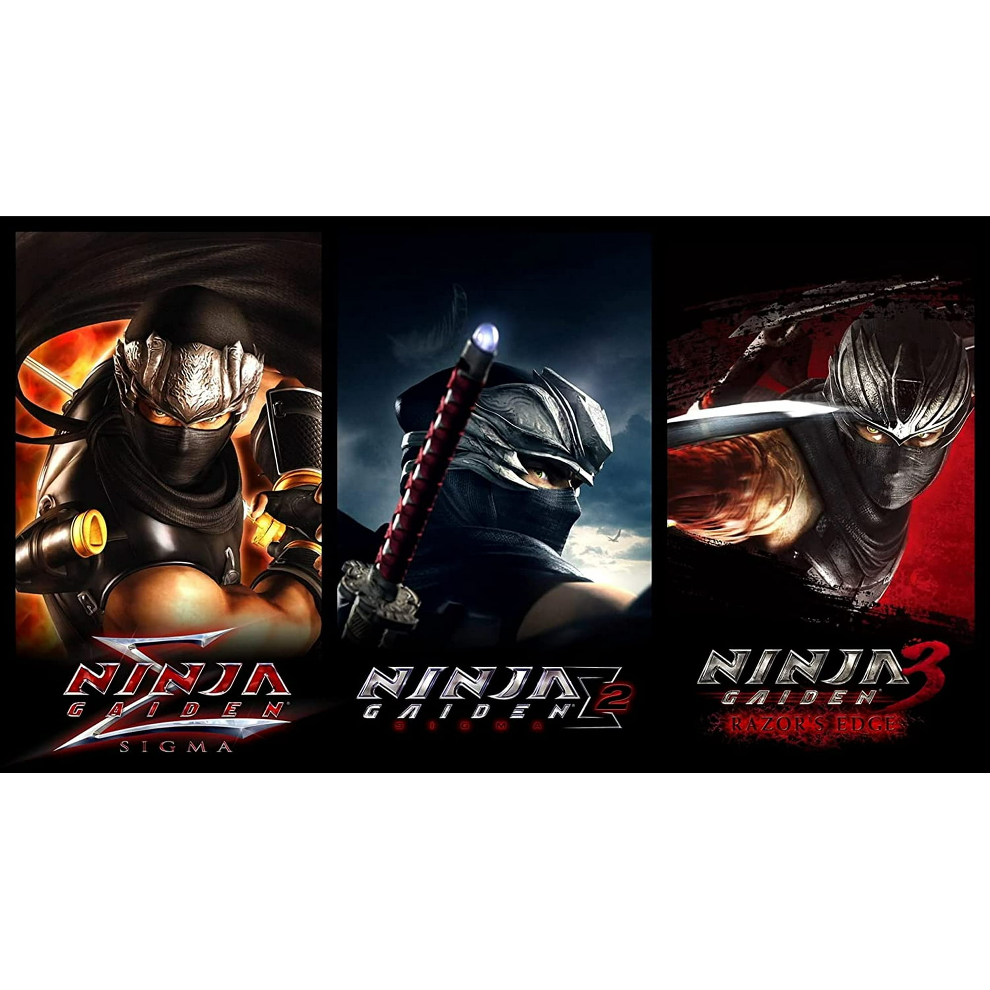 Ninja Gaiden: Master Collection [PlayStation 4]