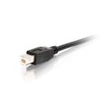 thumbnail image 3 of Cable de extensión USB C2G 12 m USB tipo A a B negro, 3 of 3