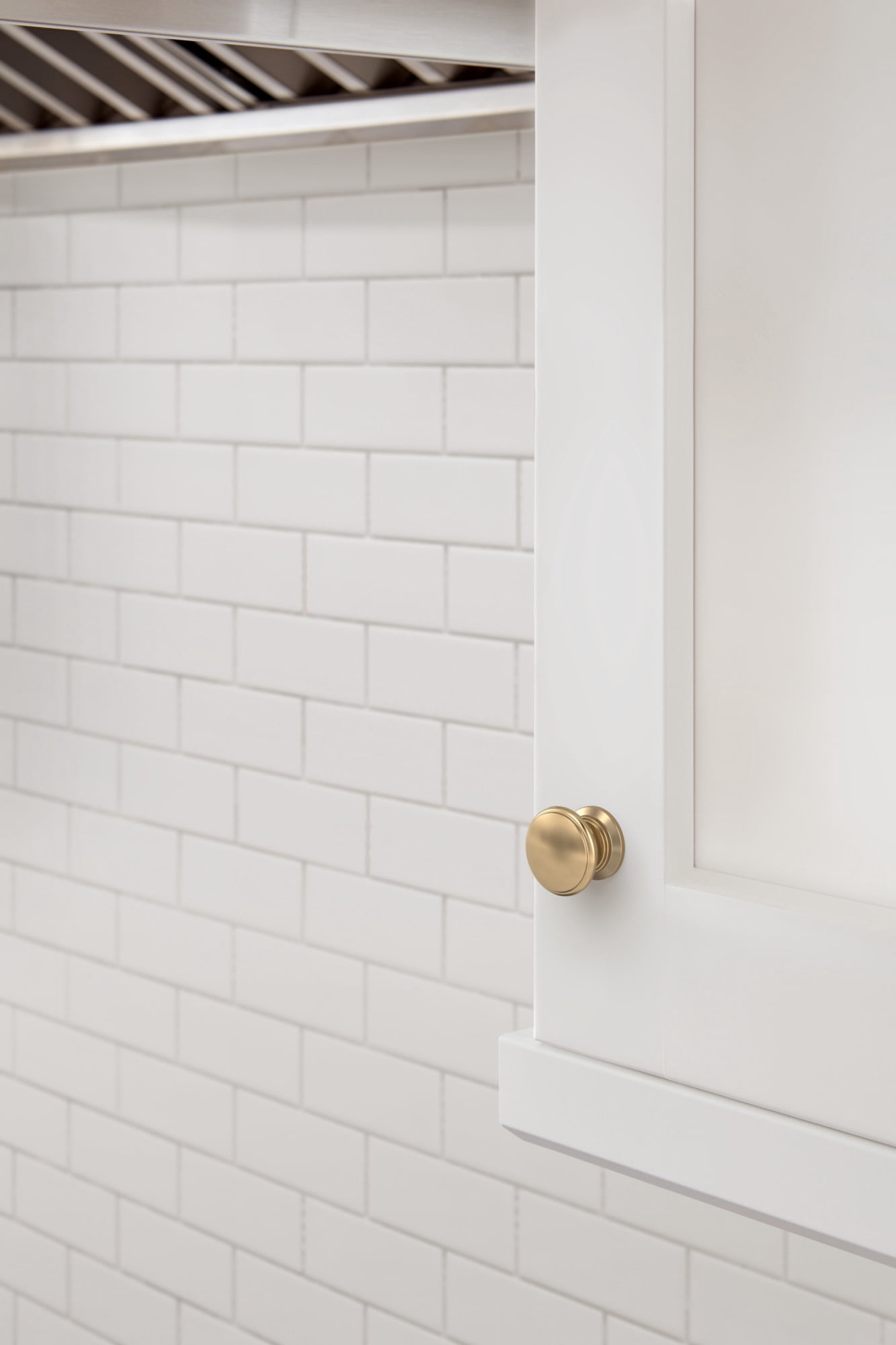 Amerock Ravino 1-1/4 in (32 mm) Diameter Polished Brass Cabinet Knob