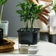 thumbnail image 3 of Macetas DYNWAVEMX 4 pulgadas con gran almacenamiento de agua para plantas de interior, 3 of 8