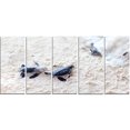 thumbnail image 2 of Baby Green Turtles on Sand - Oversized Animal Wall Art, 2 of 3
