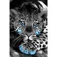 thumbnail image 1 of Taladro diamante pintura (DE4079) 5D DIY completo tigre punto de cruz bordado mosaico Kit 40x50cm FLhrweasw Nuevo, 1 of 1