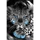 thumbnail image 1 of Taladro diamante pintura (DE4079) 5D DIY tigre completo punto de cruz bordado mosaico Kit 30x40cm Hugtrwg Para estrenar, 1 of 1