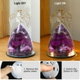 thumbnail image 5 of Emibele Preserved Real Rose in Glass Angel Figurines, Eternal Purple Rose Gift Flower with LED Lights for Women Mom Wife Her Grandma Anniversary Valentine Mother's Day,Purple, 5 of 7