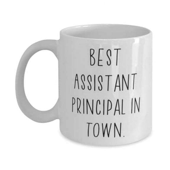 Sarcasm Assistant principal Gifts, Best Assistant Principal in Town, Beautiful Birthday 15oz Mug Gifts F Men Women