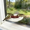 thumbnail image 6 of Diceymbol Oriole Window Suction Cup Bird Feeder White Jelly Bird Feeder With Strong Suction Cup For Outdoor Window Garden Patio and Yard Bird Lovers, 6 of 9