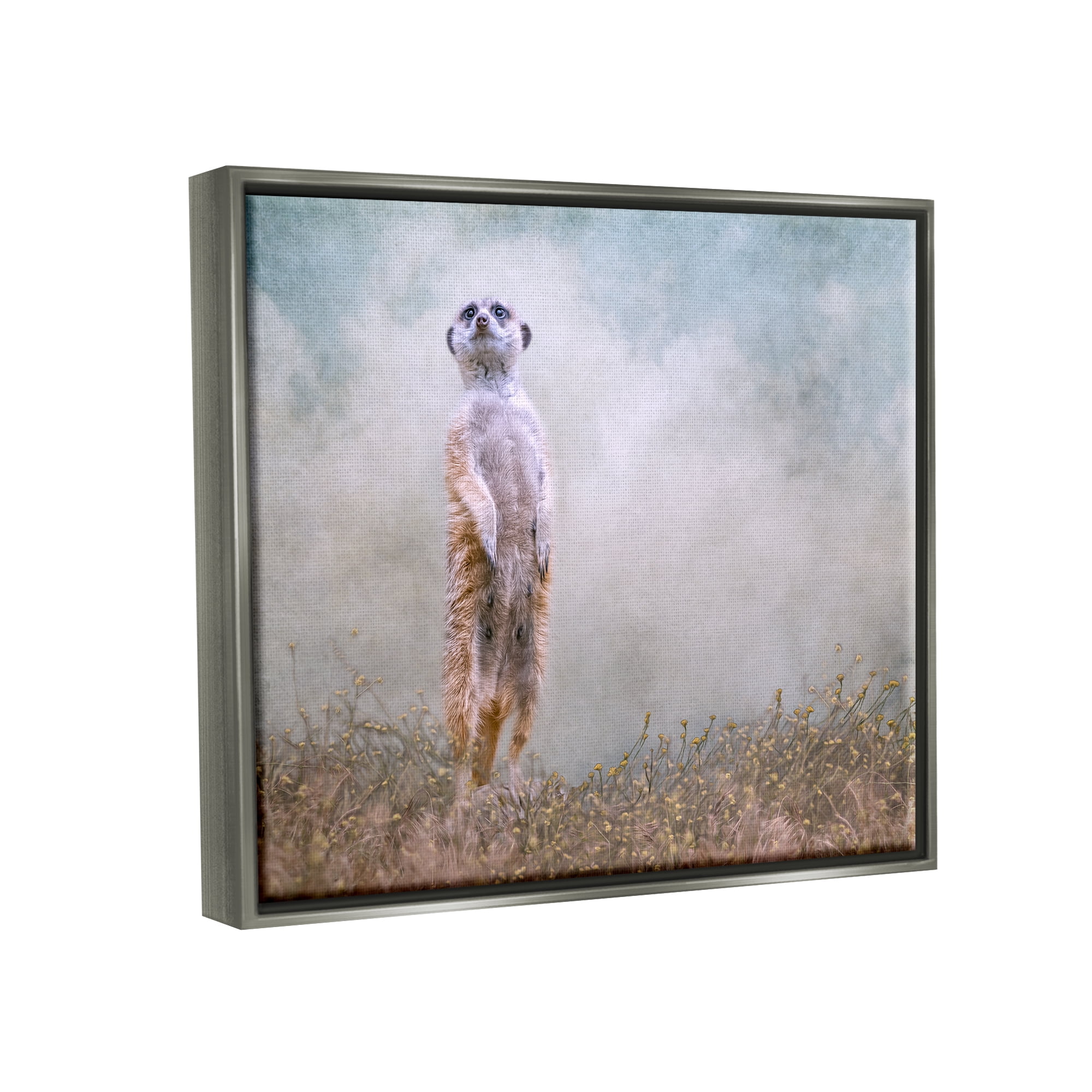 Stupell Meerkat Watching Prairie Nature Animals & Insects Photography Gray Floater Framed Art Print Wall Art
