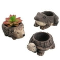 thumbnail image 2 of Maceta de cemento para suculentas patio jardín balcón decoración raíz de árbol planta en maceta creativa - Tamaño de la maceta: 145x11x65 cm Diámetro de la maceta: ANGGREK Otros, 2 of 8