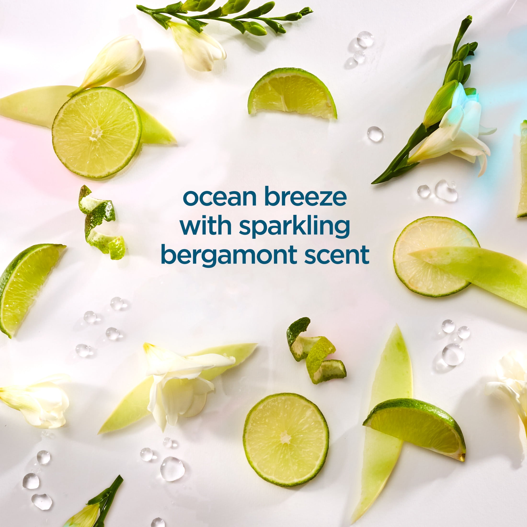 (2 pack) Softsoap Pure Air Liquid Hand Soap, Ocean Breeze with Bergamot, 11.25 Fluid Ounce Bottle