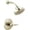 Brilliance Polished Nickel, variant on Delta T14248 Bowery Monitor 14 Series Single Function Pressure Balanced Shower Only -