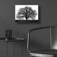 thumbnail image 5 of Epic Art 'The Tree' by John Jones, Acrylic Glass Wall Art, 16"x12", 5 of 8
