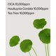 thumbnail image 5 of Mascarilla Mary&May CICA Houttuynia Tea Tree Calming x30, 5 of 7