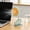 B, variant on Portable On Desk Fan with Flexible Gooseneck 3 Speeds Quiet Personal Fan for Home Dorm Computer Summer
