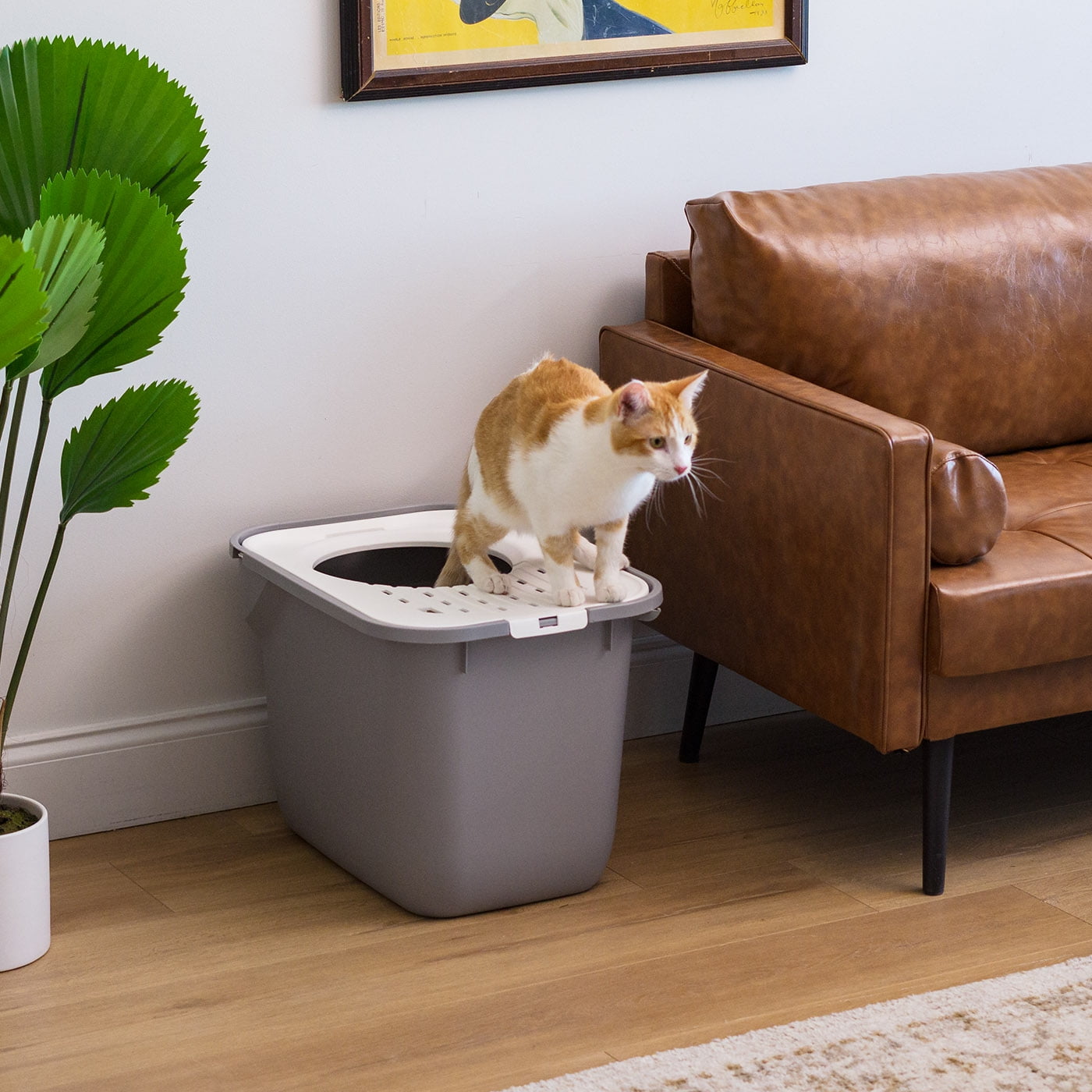 IRIS Square Top Entry Cat Litter Box, Kitty Litter Pan with Litter Particle Catching Cover and Privacy Walls, Gray/White