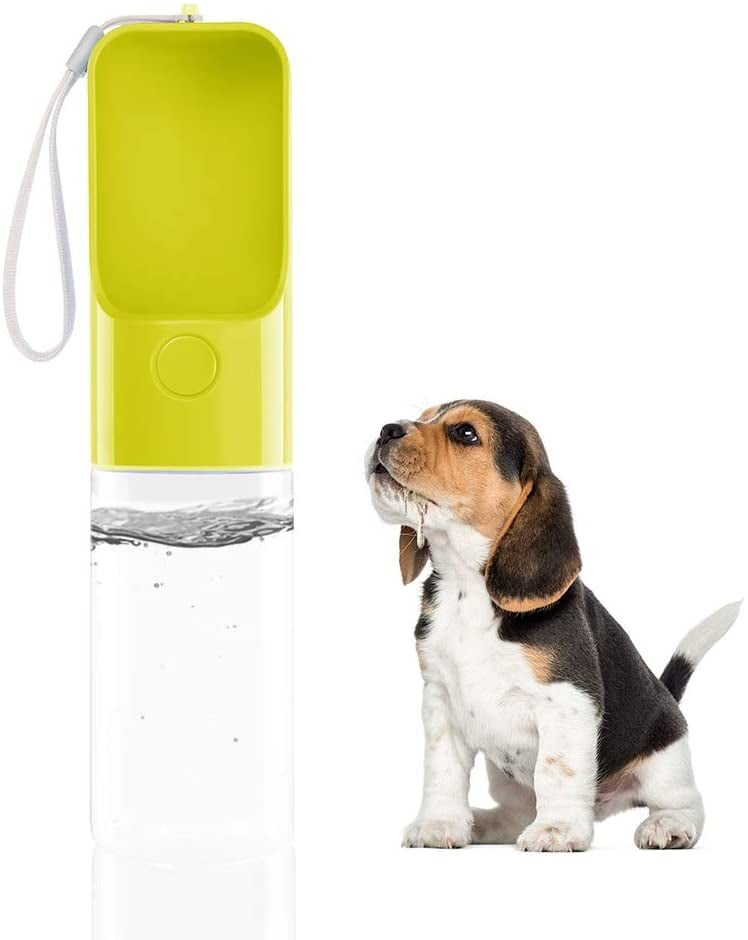 Does Dog Need Water For Hiking