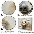 thumbnail image 3 of Designart "Pensive Tree Dweller" Sloth Floater Framed Canvas Art Print, 3 of 5