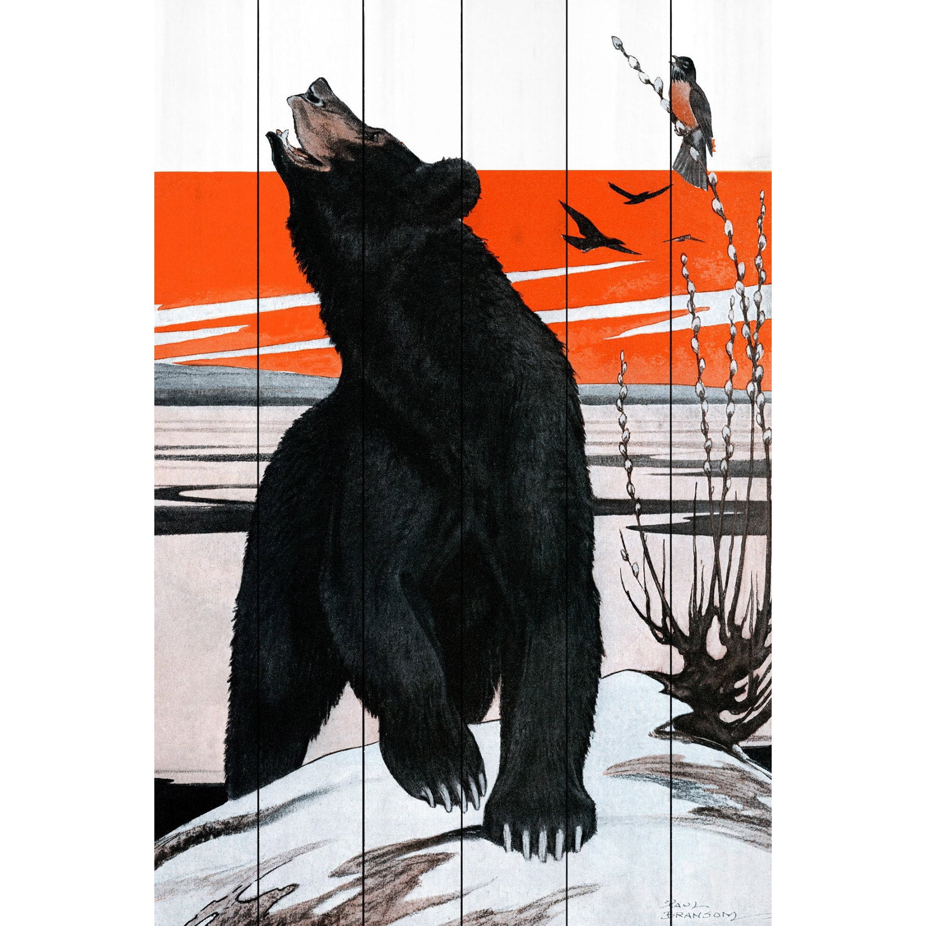 Marmont Hill "Spring Bear" Painting Print on White Wood