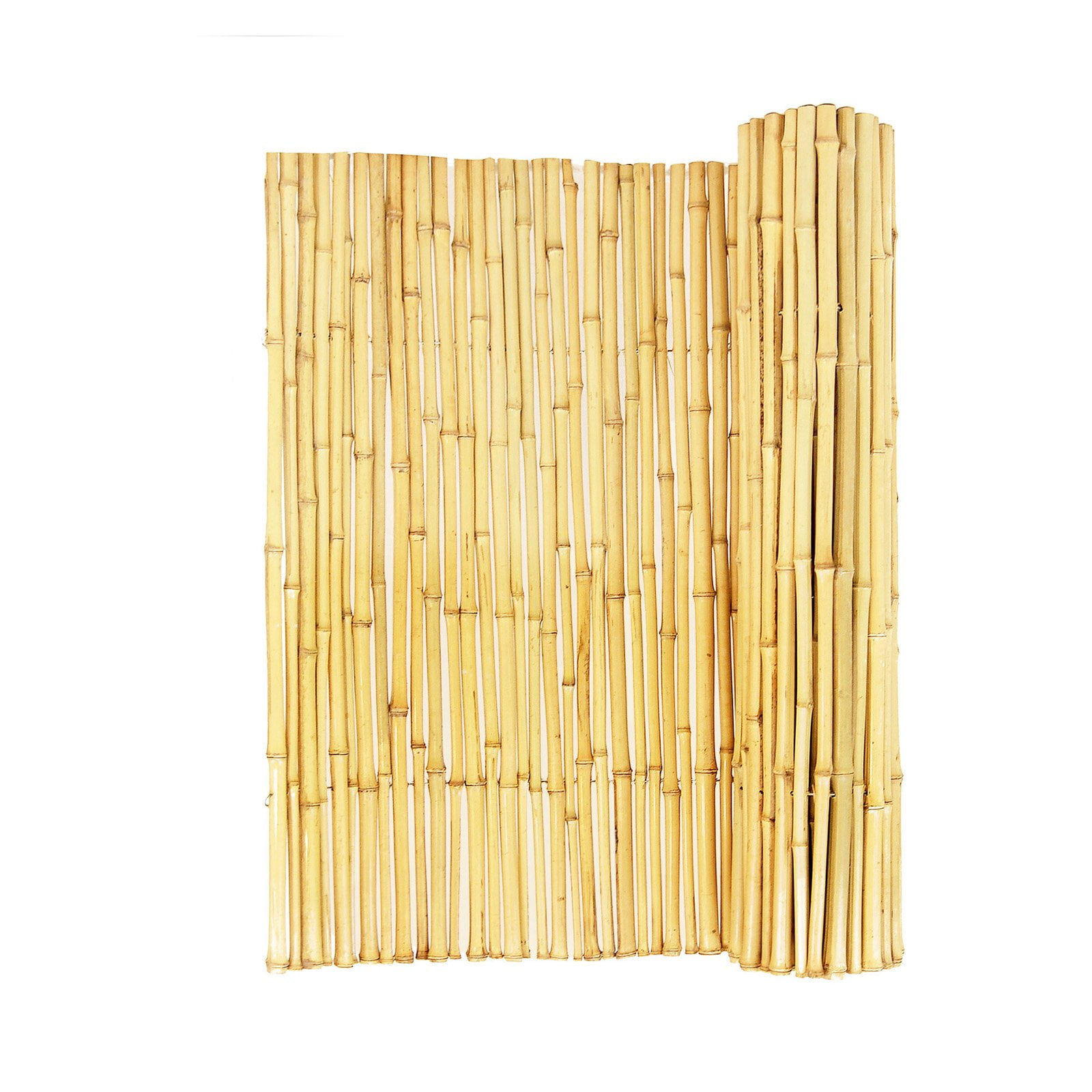 Forever Bamboo 3 4 in. Natural Rolled Bamboo Fence by