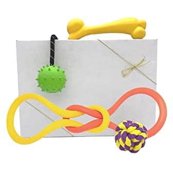 Roscoe's Pet Products Assorted Toy Box for Medium to Large Dogs
