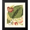 thumbnail image 2 of Vision Studio 12x14 Black Modern Framed Museum Art Print Titled - Fantastical Botanical I, 2 of 5