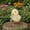 E a, variant on Easter Chick Decor - Cute Family Chicks Plush,Colorful Macaron-Style Mini Chick, Chicken Figurines Decoration For Home Kitchen Office Farmhouse Spring Table Desktop Ornament Home Decor