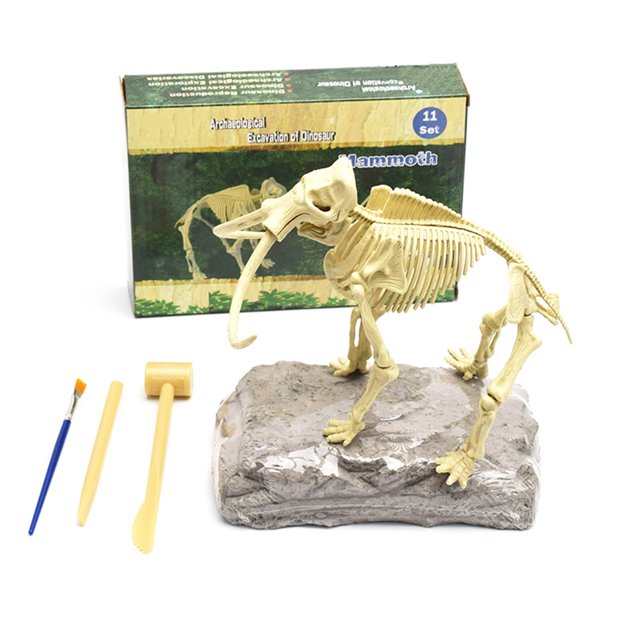 Kit de excavación de fósiles, Kit de excavación de fósiles de dinosaurios, esqueleto de hueso de dinosaurio para niños, regalo de paleontología para niños y niñas