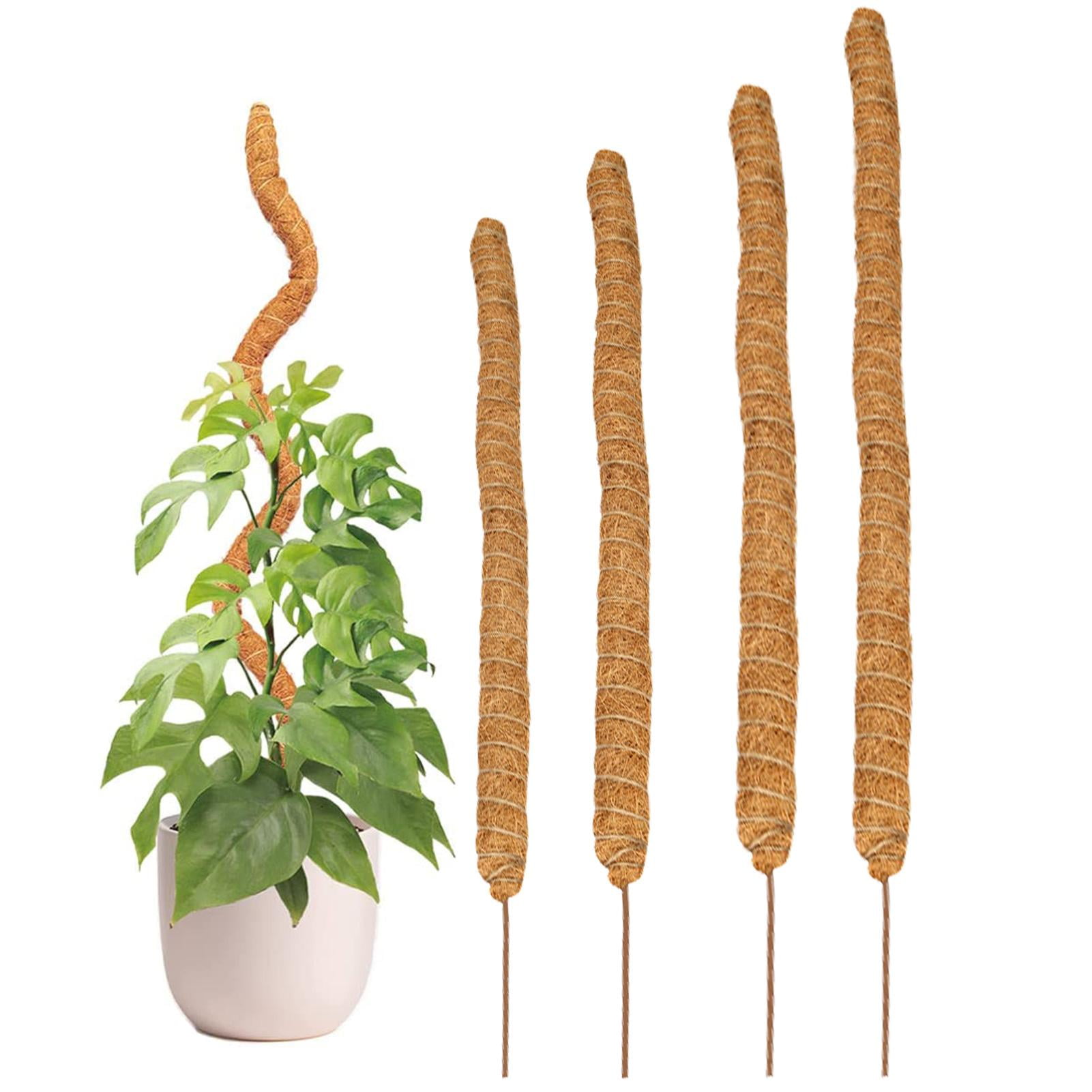 Moss Plant PolePlant Sticks SupportBendable Plant Stake,Handmade Slim