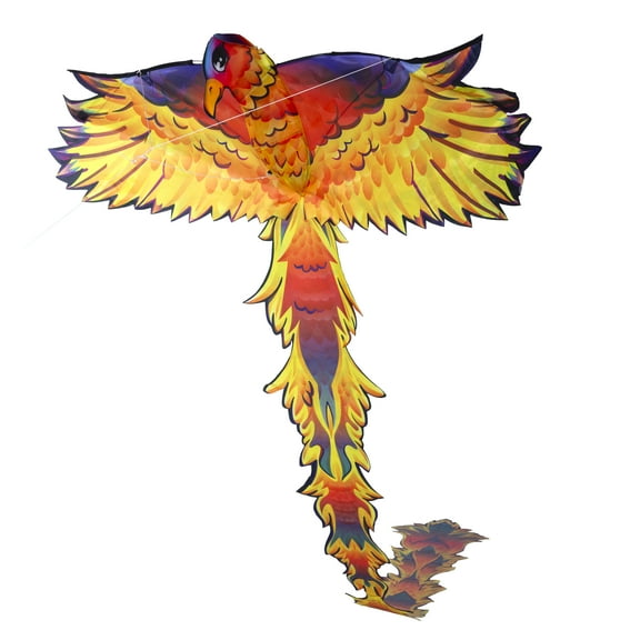 Kite R2fly Merchandise